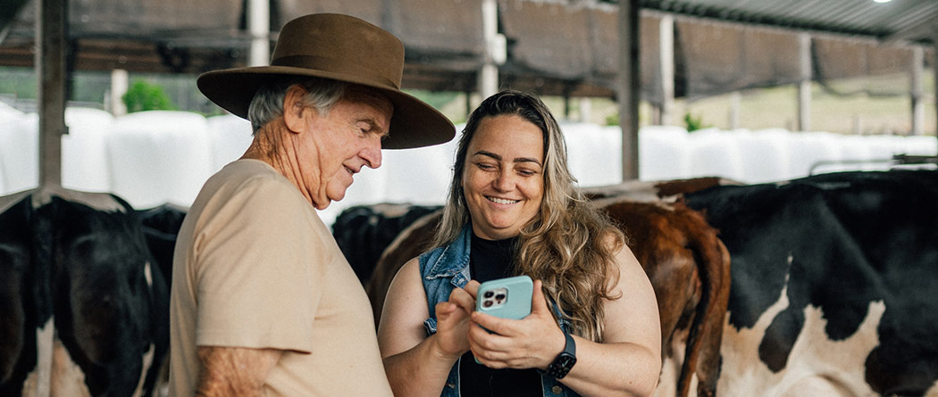 Man and woman looking at a phone together near cattle