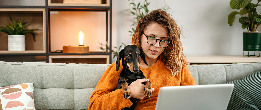 Woman holding her dog while sitting on her couch, looking at her laptop