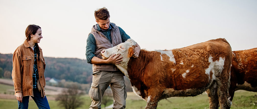 Father petting a cow while his daughter smiles